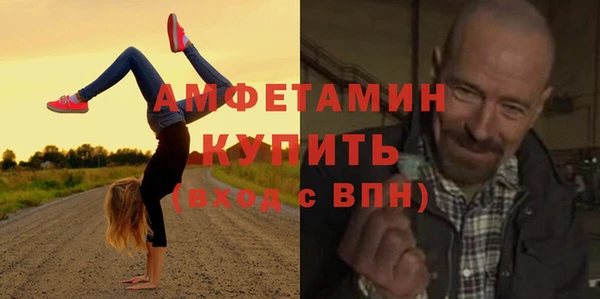 сатива Пересвет