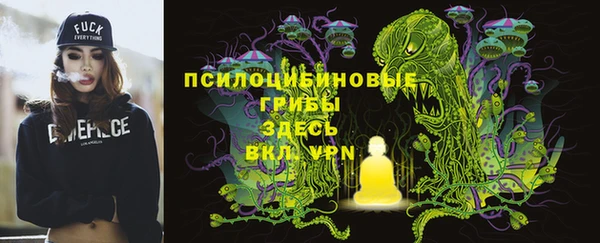 a pvp Вязники