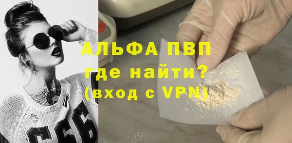 сатива Пересвет