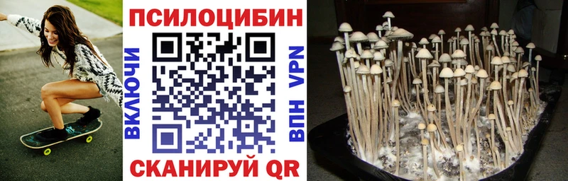 магазин наркотиков Тюмень Галлюциногенные грибы прущие грибы